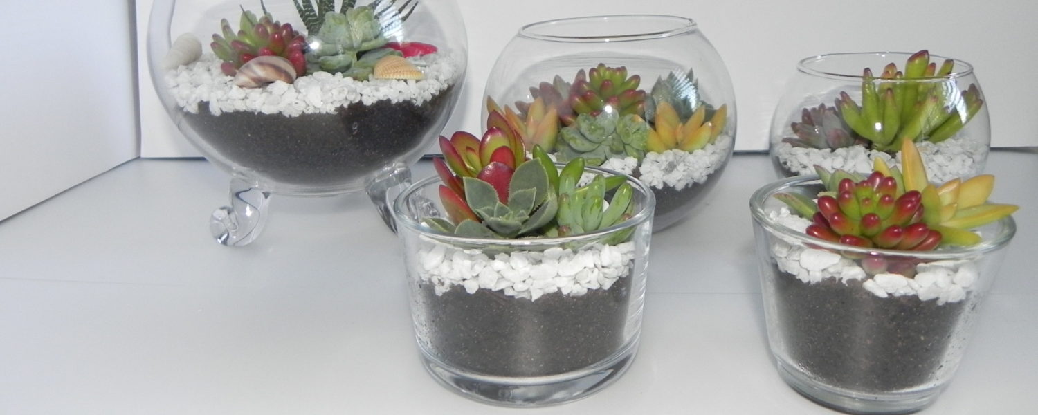 succulent-gift-terrariums