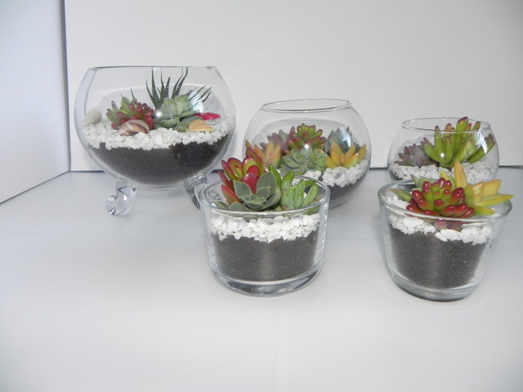 succulent-gift-christmas-presents-terrariums