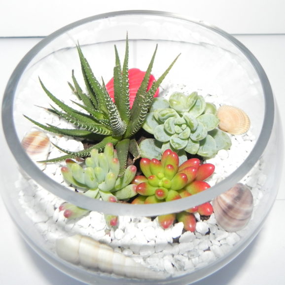 Terrariums and Glass Bowls