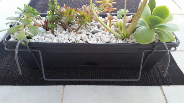 succulent cactus balcony planter pot box sydney
